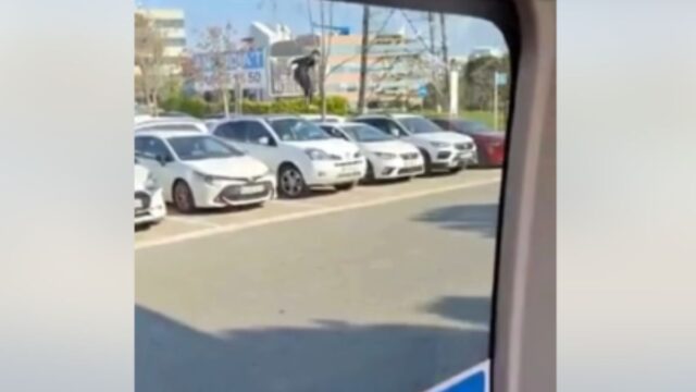 Sense títol (1200 x 675 px) - 2026-03-26T163643.358