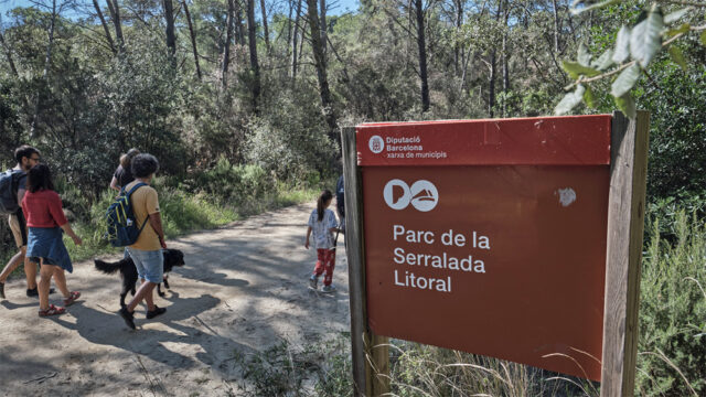 noticia_1782220669.jpg