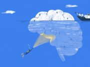 Cervell, metabolisme i infertilitat: connexions inesperades