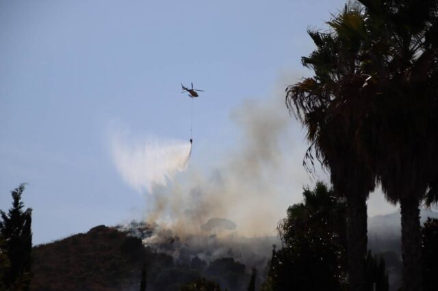 Incendi que crema a la serra de Collserola