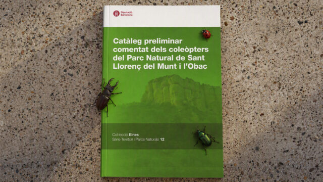noticia_1793110660.jpg